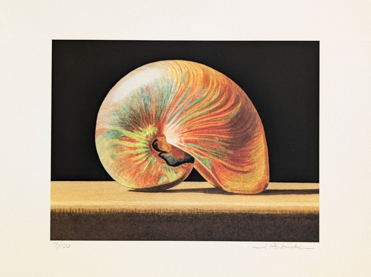 JOHN ARBUCKLE - IRIDESCENT NAUTILUS - ARCHIVAL PRINT - 9.5 X 6.5