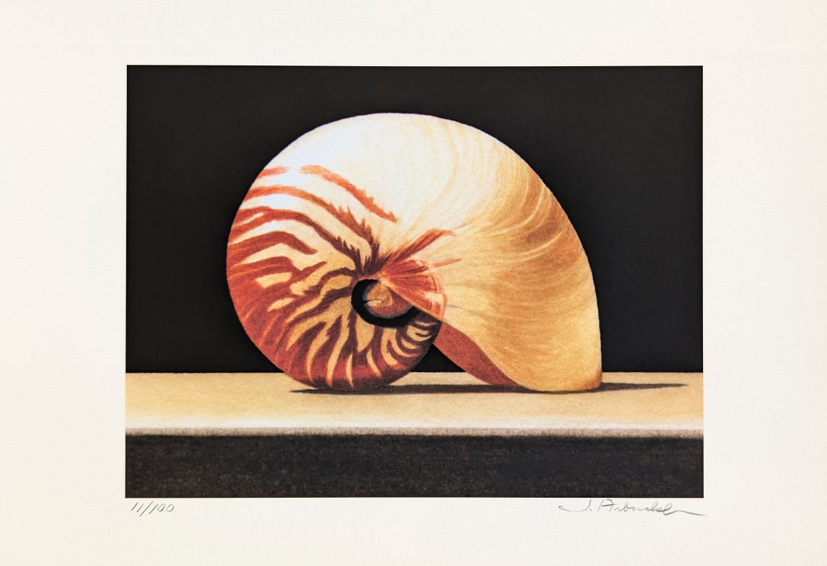 JOHN ARBUCKLE - NAUTILUS - ARCHIVAL PRINT - 9.5 X 6.5