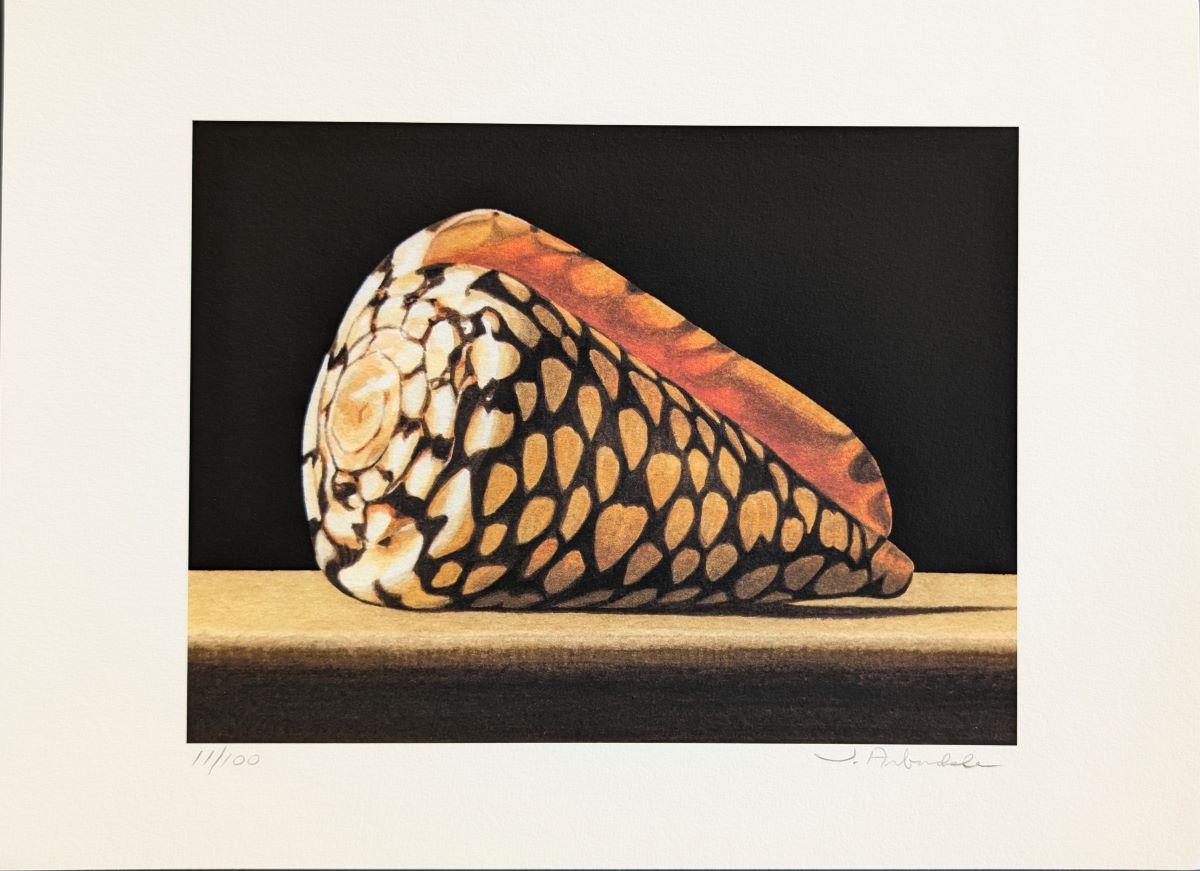 JOHN ARBUCKLE - MARBLE CONE - ARCHIVAL PRINT - 9.5 X 6.5