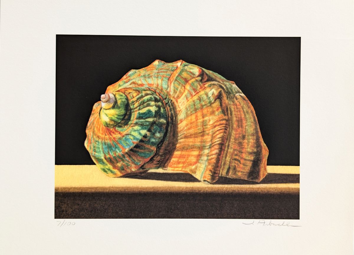 JOHN ARBUCKLE - NEW TURBAN SHELL - ARCHIVAL PRINT - 9.5 X 6.5