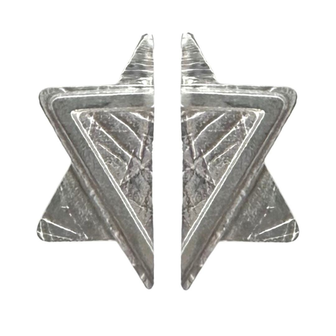MICHELENE BERKEY - STERLING SILVER STAR OF DAVID EARRINGS - STERLING SILVER