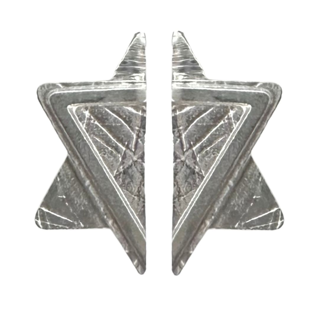 MICHELENE BERKEY - STERLING SILVER STAR OF DAVID EARRINGS - STERLING SILVER