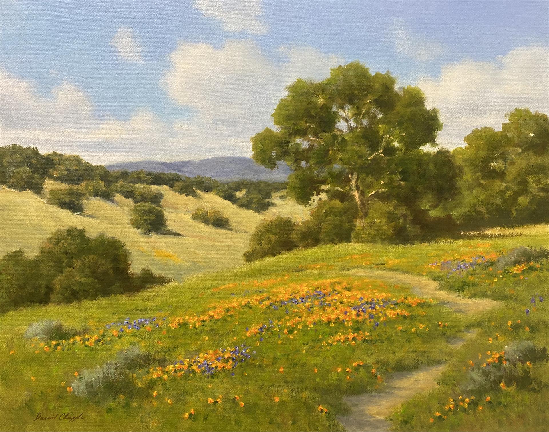 DAVE CHAPPLE - SPRING FOOTHILLS - OIL ON LINEN - 20 X 16