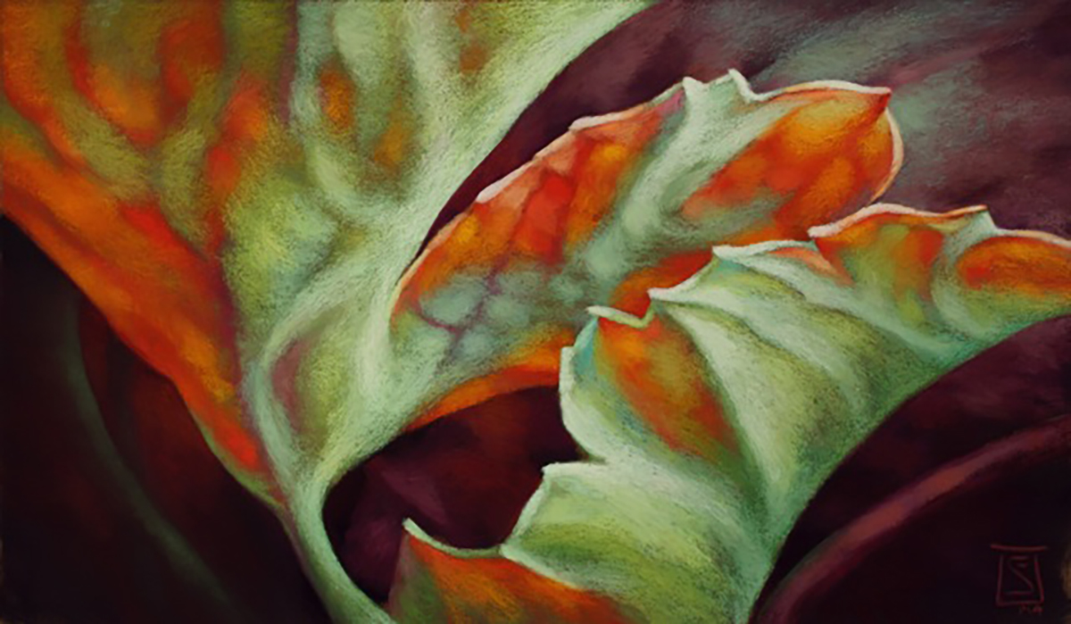 SHEILA EVANS - BREATH OF FIRE - PASTEL - 24 X 14