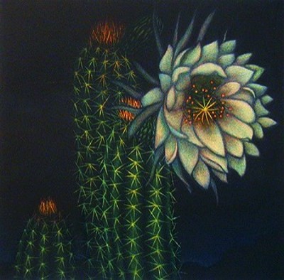 JAMES GROLEAU - CACTUS - MEZZOTINT - 8 X 8