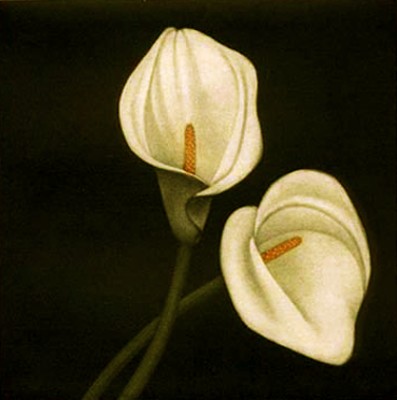 JAMES GROLEAU - CALLA I - MEZZOTINT - 8 X 8