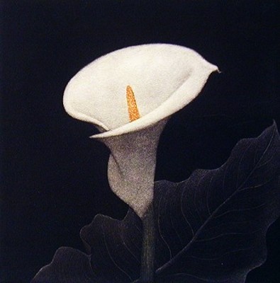 JAMES GROLEAU - CALLA II - MEZZOTINT - 8 X 8