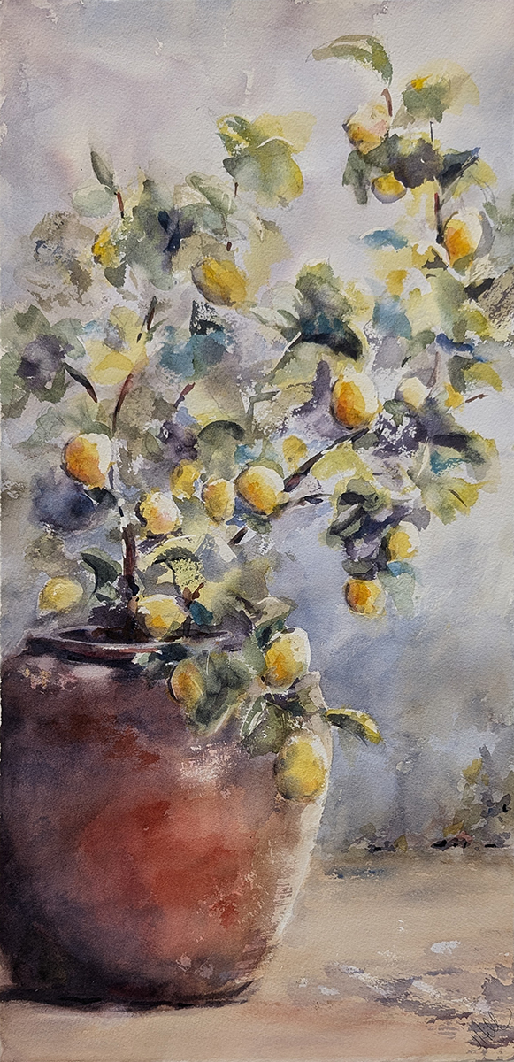 JULIE HILL - LEMON TREE - WATERCOLOR - 10 X 20