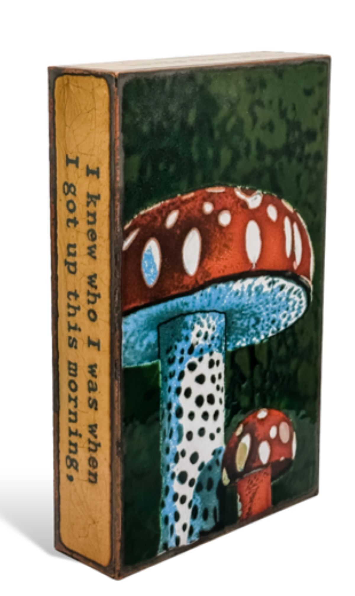 HOUSTON LLEW - MUSHROOM "I knew who I was when I got up this morning, but I've changed several times since then." - Lewis Carroll