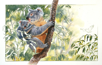 PATRICK O'BRIEN - KOALA - WATERCOLOR & GOUACHE - 14.5 X 9