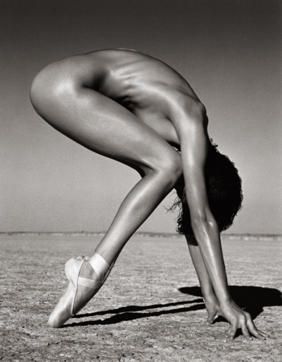 MICHAEL HABER - DESERT POISE - PHOTOGRAPHY - 24 X 36