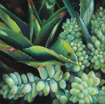 MARIE TIPPETS - A SUCCULENT GARDEN - PASTEL - 6 X 6