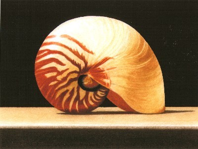 JOHN ARBUCKLE - NAUTILUS - ARCHIVAL PRINT - 9.5 X 6.5