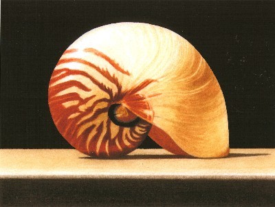 JOHN ARBUCKLE - NAUTILUS - ARCHIVAL PRINT - 9.5 X 6.5