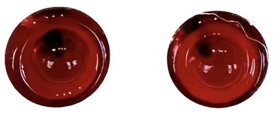 KRISTA BERMEO - RED CIRCLE NEST EARRINGS - GLASS