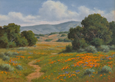 DAVE CHAPPLE - VALLEY COLOR - OIL ON BOARD - 12 X 16