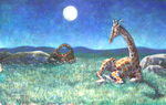 MARY NEWELL DEPALMA - GIRAFFES SLEEPING - ACRYLIC - 16 X 10