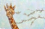 MARY NEWELL DEPALMA - GIRAFFE & TWIG - ACRYLIC ON PAPER - 16 X 10