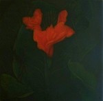 JAMES GROLEAU - CANNA - MEZZOTINT - 8 X 8