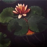 JAMES GROLEAU - WATER LILY - MEZZOTINT - 8 X 8