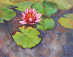 BONNIE HOLMES - WATERLILY IN THE CLOUDS - OIL ON CANVAS - 20 x 16