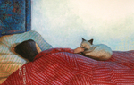 JOHNSON AND FANCHER - IN BED WITH CAT - MIXED MEDIA - 18 X 11.5