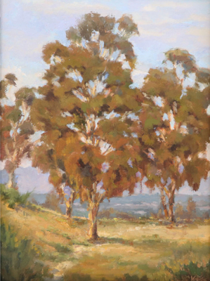 STEVE KELL - EUCALYPTUS RIDGE - OIL ON BOARD - 12 X 16