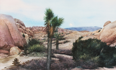 JASON LI - MOONLIGHT DESERT - WATERCOLOR - 10" x 15"