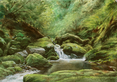 JASON LI - LUSH FOREST 2 - WATERCOLOR - 11" X 15"