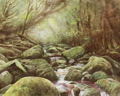 JASON LI - LUSH FOREST 1 - WATERCOLOR - 11" X 15"