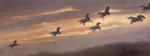 JIM LA MARCHE - FLYING HORSES & BIRDS - MIXED MEDIA ON PAPER - 27.25 X10