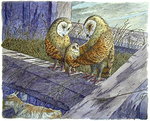 KIMBERLY BULCKEN ROOT - OWL FAMILY - WATERCOLOR - 10 X 8