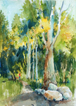 PETE ROBERTS - WALK IN THE WOODS - WATERCOLOR - 12 X 15