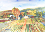 PETE ROBERTS - RURAL COLORS - WATERCOLOR - 15 X 11