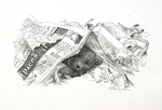 S.D. SCHINDLER - BEAR IN NEWSPAPER - PEN & INK - 7 X 4