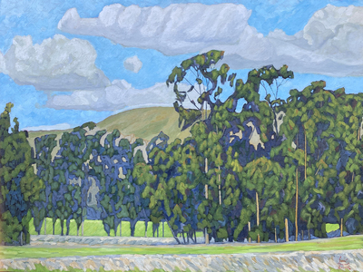 JOHN SAWYER - OLD EUCALYPTUS WINDBREAKS - OIL ON CANVAS - 40 X 30