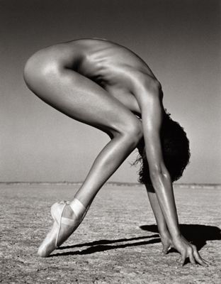 MICHAEL HABER - DESERT POISE - PHOTOGRAPHY - 24 X 36
