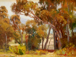 JIM WODARK - EUCALYPTUS BAY - OIL ON BOARD - 16 x 12