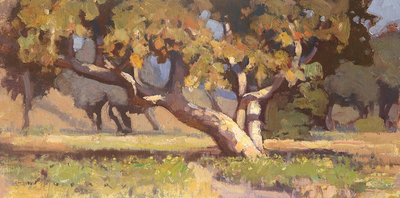 JIM WODARK - SUMMER SYCAMORE - OIL ON LINEN - 16 X 8